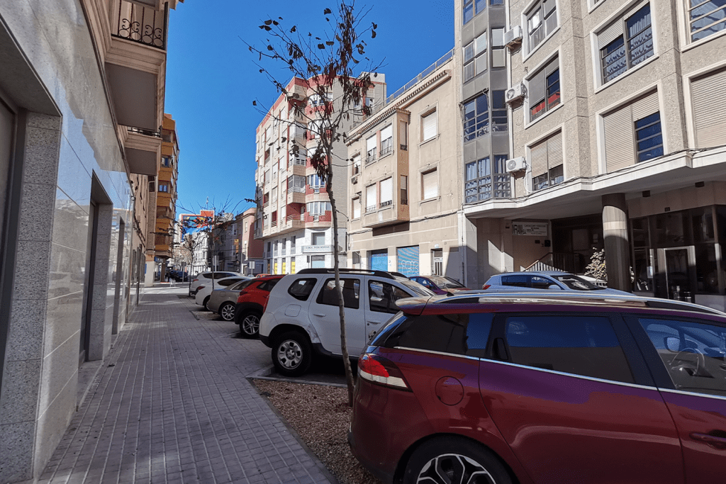 Ayuntamiento de Novelda 03-arbolado-1024x683 Novelda augmenta el seu arbratge urbà 