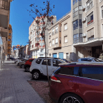Ayuntamiento de Novelda 03-arbolado-150x150 Novelda aumenta su arbolado urbano 