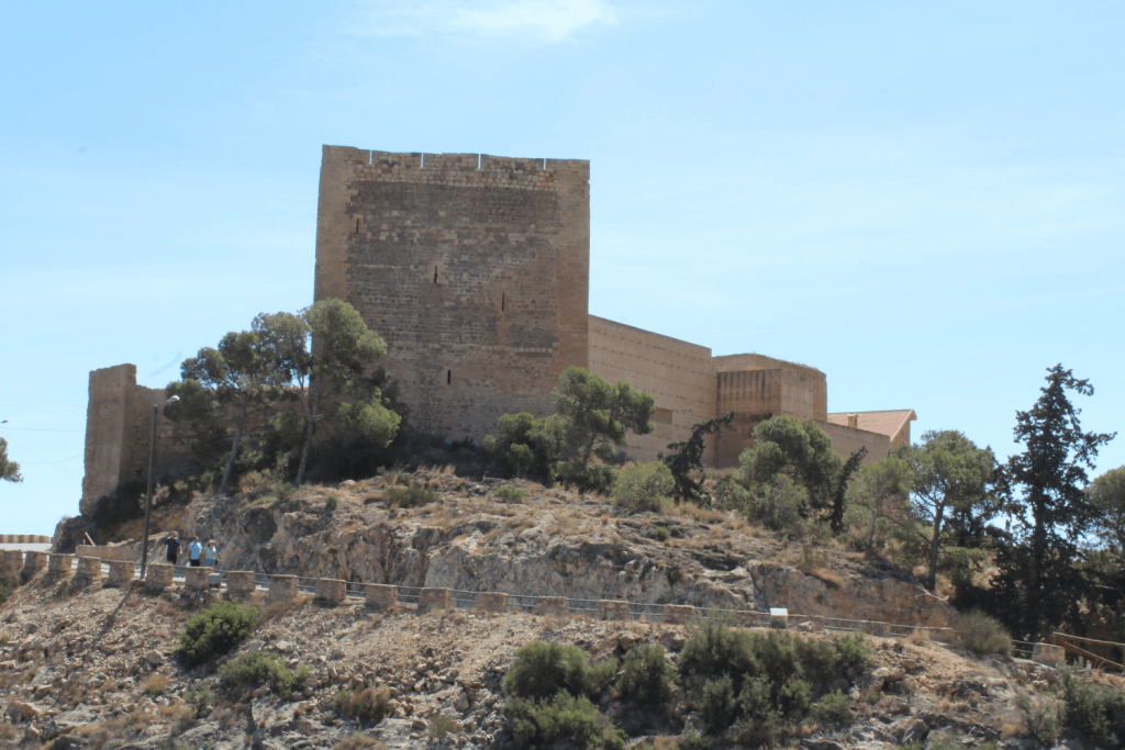 Ayuntamiento de Novelda 02-Muralla-Norte-Castillo-1024x683 El Pla Director de Castillo permet comptar amb subvencions per a recuperar la muralla nord del recinte 