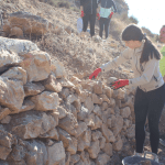 Ayuntamiento de Novelda 06-Taller-Piedra-Seca-150x150 Alumnado del IES Vinalopó realiza un taller de recuperación de muros de piedra seca en el Castillo de la Mola 