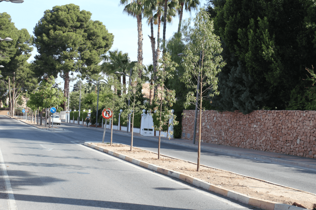 Ayuntamiento de Novelda 01-Árboles-Paseo-Molinos-1024x683 Quince nuevos árboles para el Paseo de los Molinos 