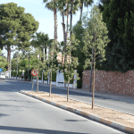 Ayuntamiento de Novelda 01-Árboles-Paseo-Molinos-150x150 Quinze nous arbres per al Passeig dels Molins 