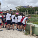 Ayuntamiento de Novelda 03-Huertos-ecológicos-150x150 Els horts ecològics reben la visita dels escolars noveldenses 