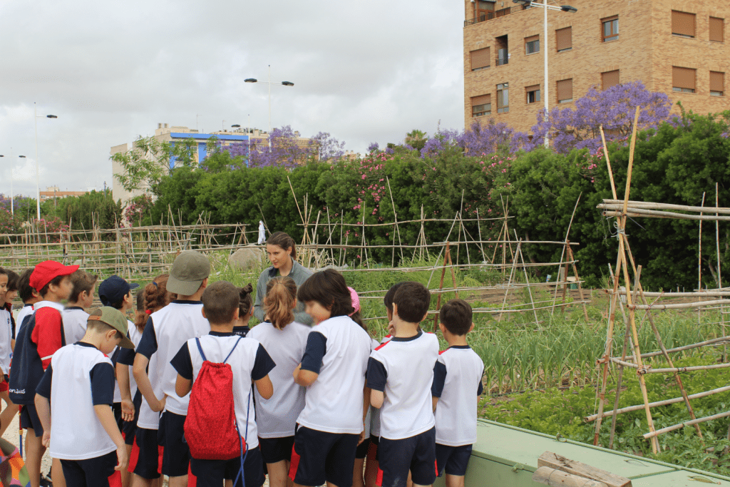 Ayuntamiento de Novelda 05-Huertos-ecológicos-1024x683 Els horts ecològics reben la visita dels escolars noveldenses 