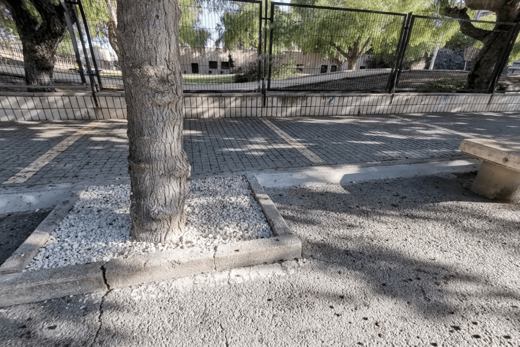 Ayuntamiento de Novelda 07-Goteo-arboles-1024x683 Medi Ambient instal·la el reg per degoteig en els arbres de l'Avinguda del riu Vinalopó 