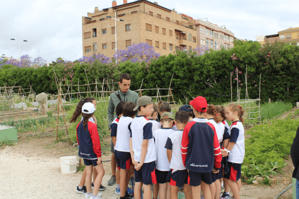 Ayuntamiento de Novelda 07-Huertos-1024x683 Los huertos ecológicos reciben la visita de los escolares noveldenses 