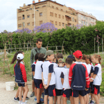 Ayuntamiento de Novelda 07-Huertos-150x150 Els horts ecològics reben la visita dels escolars noveldenses 