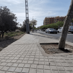 Ayuntamiento de Novelda 08-Goteo-arboles-150x150 Medi Ambient instal·la el reg per degoteig en els arbres de l'Avinguda del riu Vinalopó 