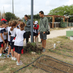 Ayuntamiento de Novelda 08-Huertos-150x150 Els horts ecològics reben la visita dels escolars noveldenses 