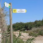 Ayuntamiento de Novelda paraje-5-150x150 Medio Ambiente mejora la señalética del Paraje Natural Municipal Clots de la Sal i Serra de la Mola 
