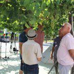 Ayuntamiento de Novelda uva-4-150x150 Agricultura lleva a cabo el tradicional embolsado de las uvas de las parras de Juan XXIII 