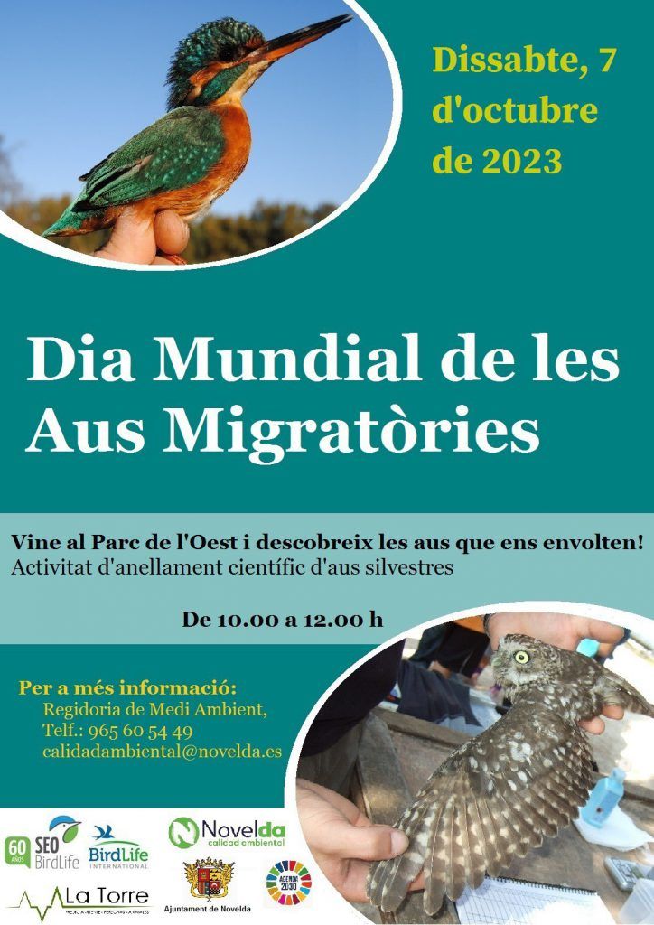 Ayuntamiento de Novelda Dia-de-las-aves-2023-Def1-724x1024 El Parque del Oeste acoge una jornada de anillamiento de aves 
