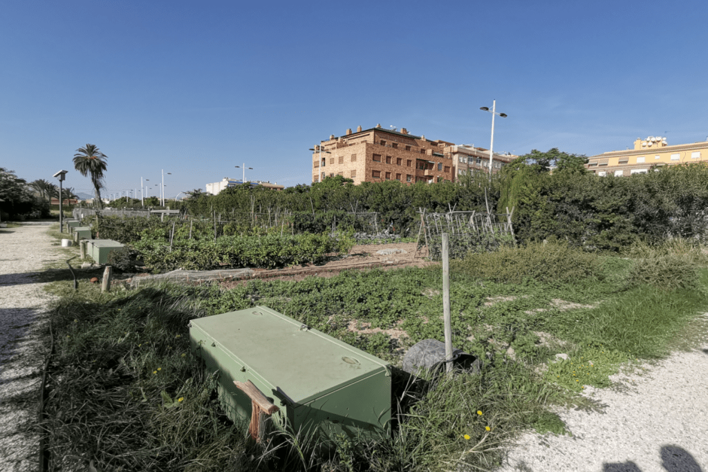 Ayuntamiento de Novelda 04-Huerto-ecologico-1024x683 Els Horts Ecològics Municipals milloren les seues instal·lacions a través d'una subvenció de Diputació 