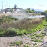 Ayuntamiento de Novelda 4-1-150x150 El Ayuntamiento recibe una subvención de la Diputación de Alicante para el control de plagas de mosquitos 