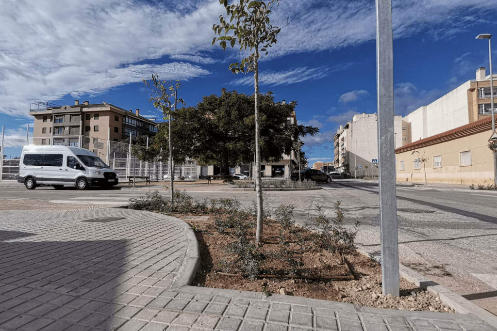 Ayuntamiento de Novelda 5-9-1024x683 Més de cinquanta arbres per a intentar reduir l'altes temperatures a les “illes de calor” 