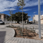 Ayuntamiento de Novelda 5-9-150x150 Más de cincuenta árboles para intentar reducir la altas temperaturas en las “islas de calor” 