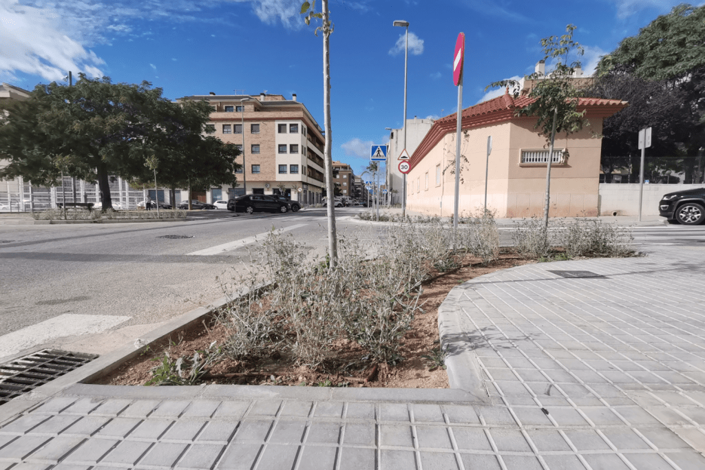 Ayuntamiento de Novelda 7-7-1024x683 Més de cinquanta arbres per a intentar reduir l'altes temperatures a les “illes de calor” 