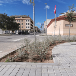 Ayuntamiento de Novelda 7-7-150x150 Més de cinquanta arbres per a intentar reduir l'altes temperatures a les “illes de calor” 