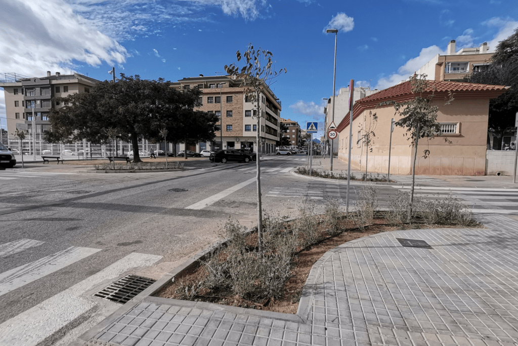Ayuntamiento de Novelda 8-5-1024x683 Més de cinquanta arbres per a intentar reduir l'altes temperatures a les “illes de calor” 