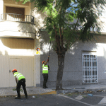 Ayuntamiento de Novelda poda-1-150x150 Medi Ambient posa en marxa la campanya anual de poda 