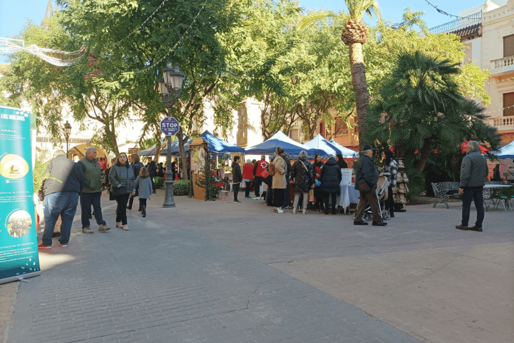 Ayuntamiento de Novelda 1-20-1024x683 El mercat ambulant solidari CityMarket torna a batre rècord de recaptació amb 18.840 euros 