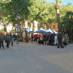 Ayuntamiento de Novelda 1-20-150x150 El mercat ambulant solidari CityMarket torna a batre rècord de recaptació amb 18.840 euros 