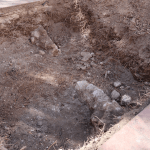 Ayuntamiento de Novelda Yacimiento-Plaça-Vella-3-150x150 Patrimonio solicita autorización para estudiar los restos arqueológicos hallados en la Plaça Vella 