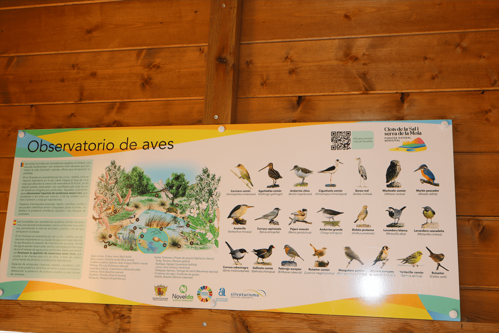Ayuntamiento de Novelda observatorio-4-1024x683 Medio Ambiente presenta el nuevo observatorio de aves del Paraje Natural Municipal Clots de la Sal i Serra de la Mola 