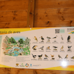 Ayuntamiento de Novelda observatorio-4-150x150 Medio Ambiente presenta el nuevo observatorio de aves del Paraje Natural Municipal Clots de la Sal i Serra de la Mola 