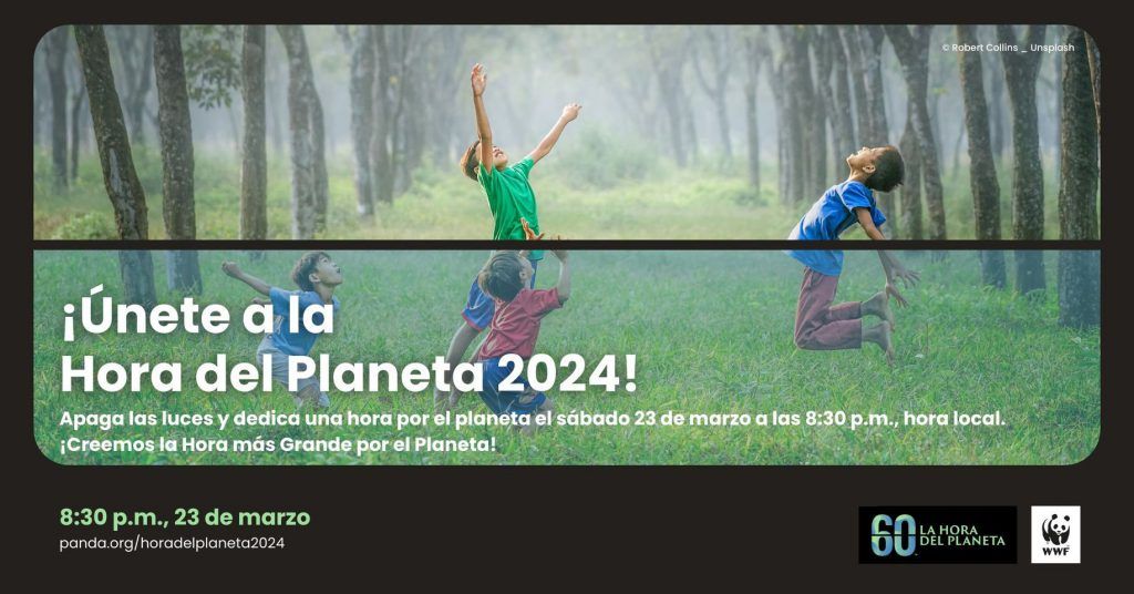 Ayuntamiento de Novelda Hora-del-Planeta-1024x536 Novelda se suma a la Hora del Planeta 