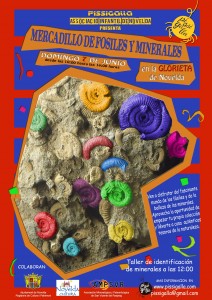 2015-06-07 MERCADILLO DE FOSILES