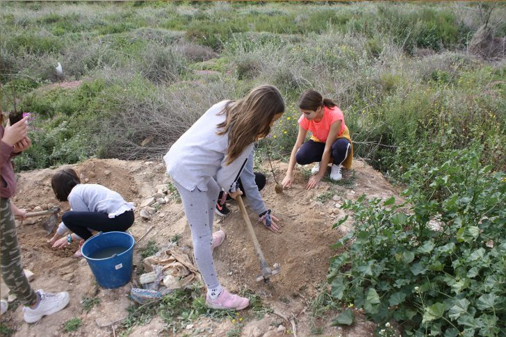 Ayuntamiento de Novelda 03-3-728x485 NOTICIAS 