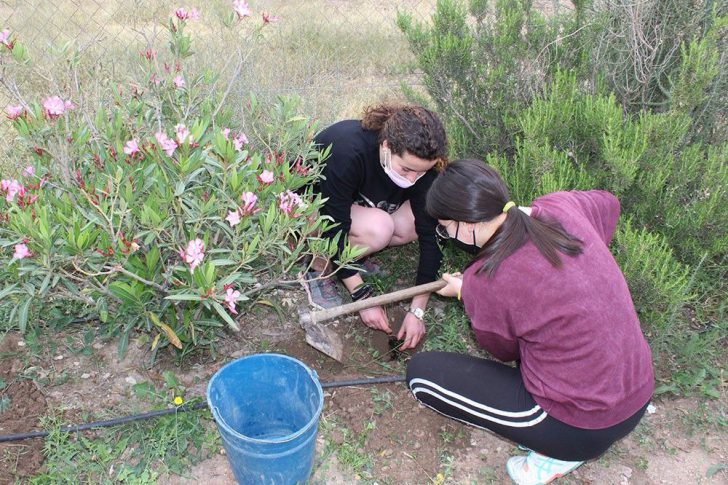 Ayuntamiento de Novelda 03-19-728x485 NOTICIAS 