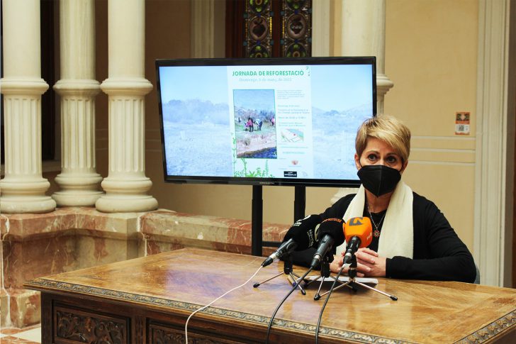 Ayuntamiento de Novelda 02-22-728x485 NOTICIAS 