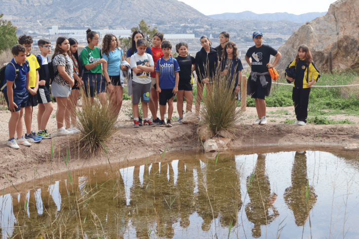 Ayuntamiento de Novelda Balsa-1-728x485 NOTICIAS 